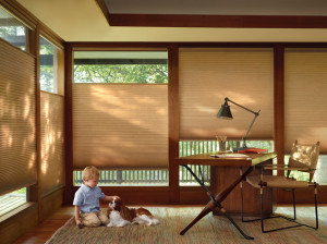 Light Controlling Window Treatments from Hunter Douglas