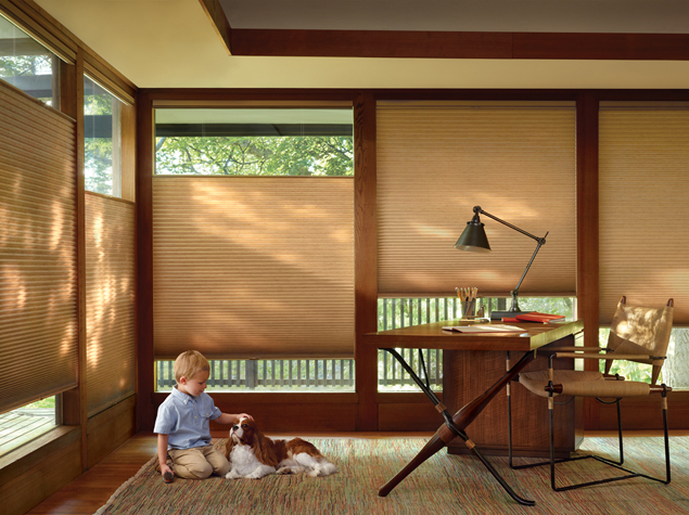 Why Designers Love Hunter Douglas Window Fashions – Serving DC Area