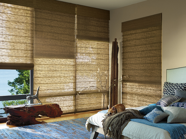 Enjoy the Beauty of Hunter Douglas Alustra