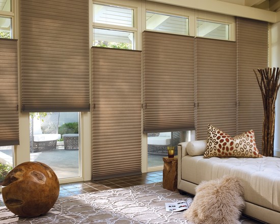 Check Out Duette Honeycomb Shades