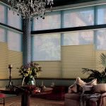 Duette® Honeycomb Shades with Top Down Feature