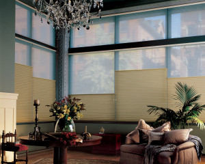 Duette® Honeycomb Shades with Top Down Feature