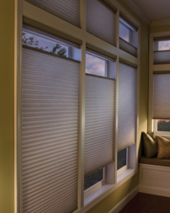 Duette® Honeycomb Shades with LiteRise®