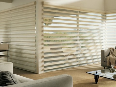 Hunter Douglas Pirouette® Window Shadings