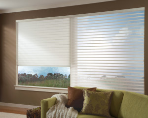 Window Coverings to Maintain Your View in Washington DC