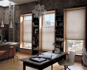 Duette® Honeycomb Shades with Literise®