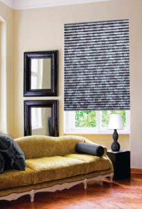 Huinter Douglas Pleated Shades