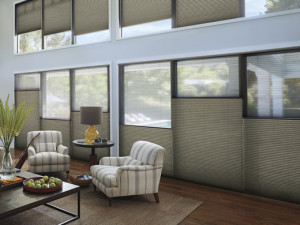 Duette® Architella® Honeycomb Shades