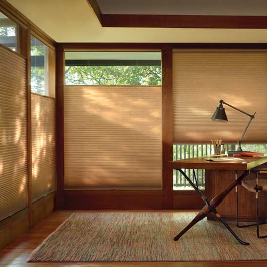 Light Control with Window Treatments