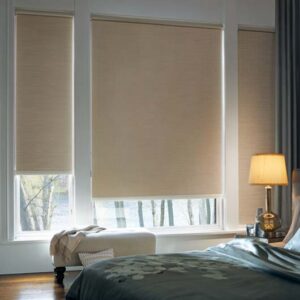 Designer Roller Shades