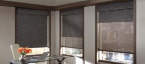 Designer Screen Shades