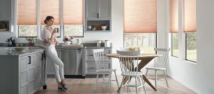 Duette® Honeycomb Shades