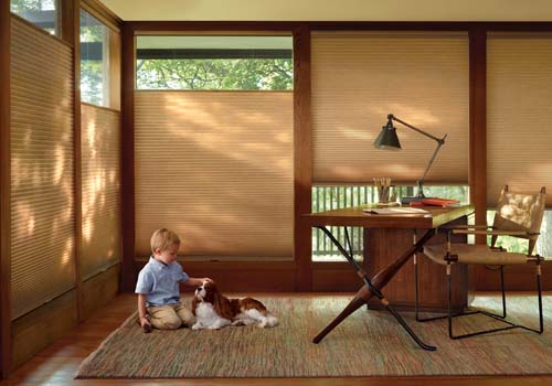 Duette® Honeycomb Shades - Child and Pet Safe