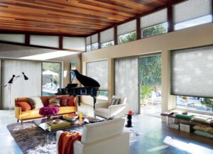 Duette® Honeycomb Shades