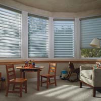 Silhouette Window Shadings