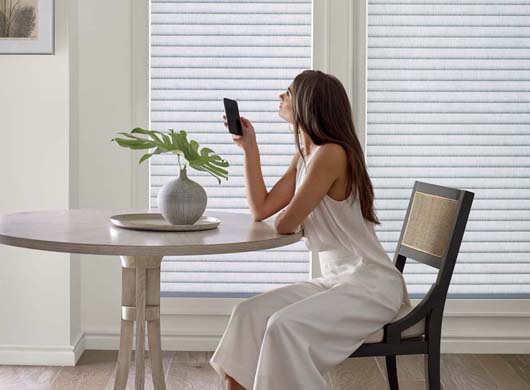 PowerView Motorization